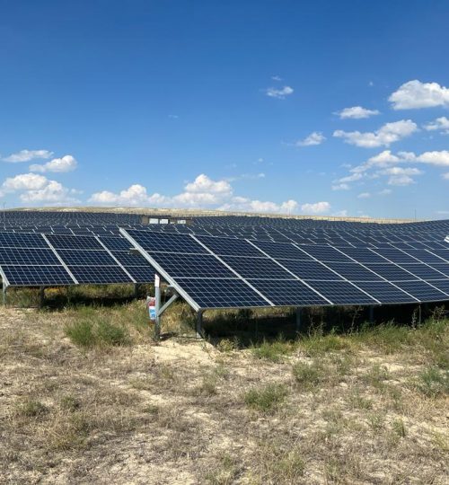 WhatsApp Image 2023-04-17 at 12.13.55